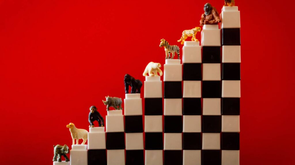 Conoce que es el stop motion